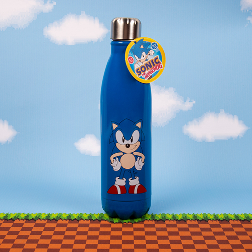 Sonic The Hedgehog Water Bottle, Hobby Lobby